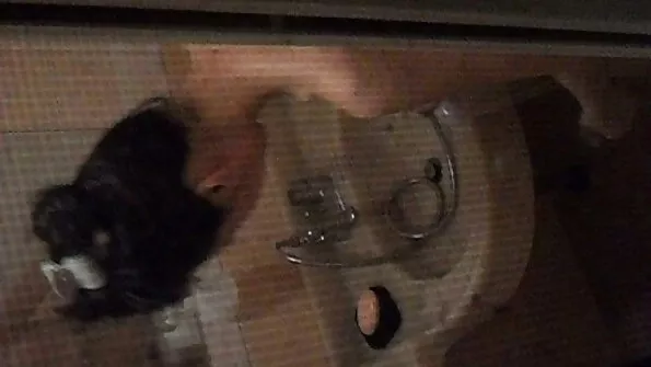 Geiler Gurkenfick porno cu pizde mici