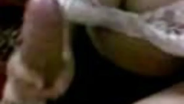 Cameron Canada cine este tatăl pizdemici tău